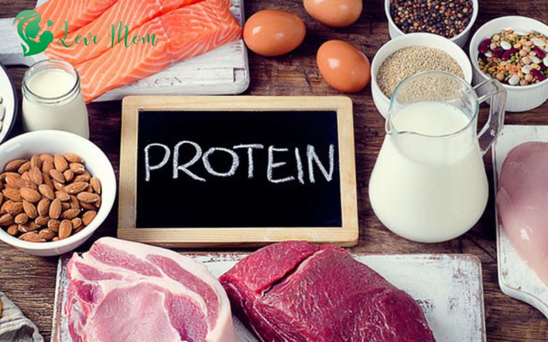 Nhu cầu về chất đạm (Protein)