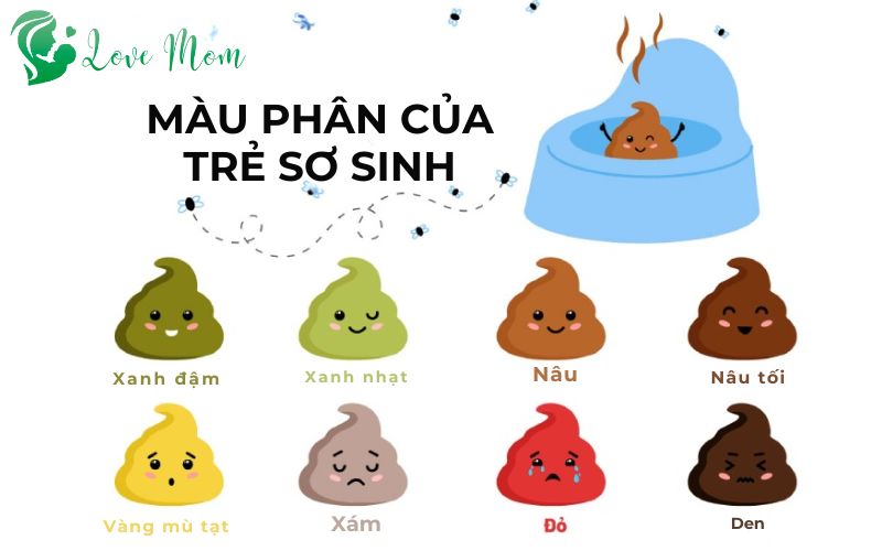 Màu sắc phân của trẻ sơ sinh